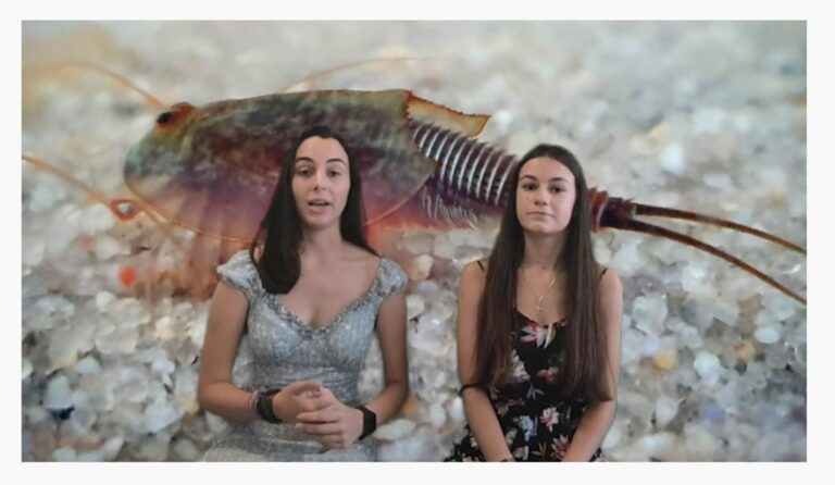 The EUCYS 2021 Bioeconomy Prize is awarded to Spain