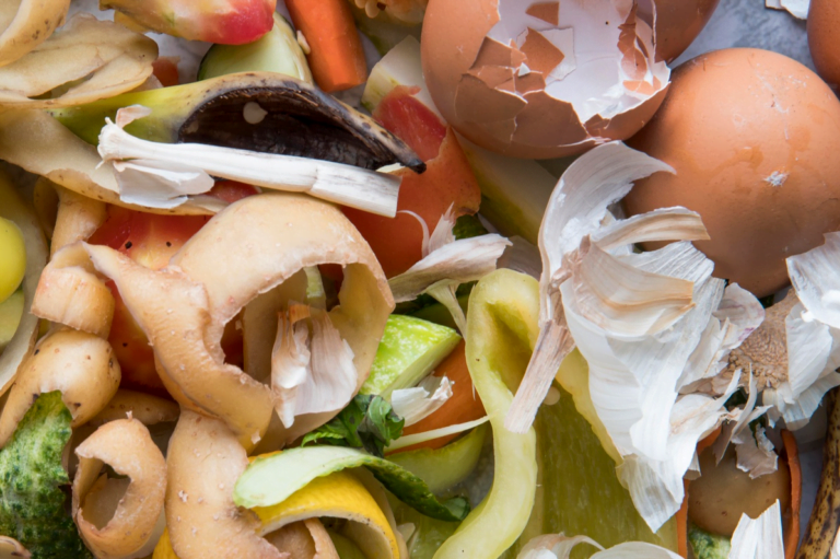 Organic waste: the key to a sustainable future?